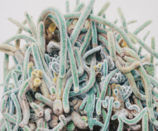 kwangho-lee_cactus_4.jpg