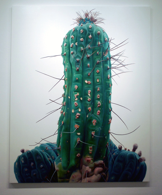 kwangho-lee_cactus_5.jpg