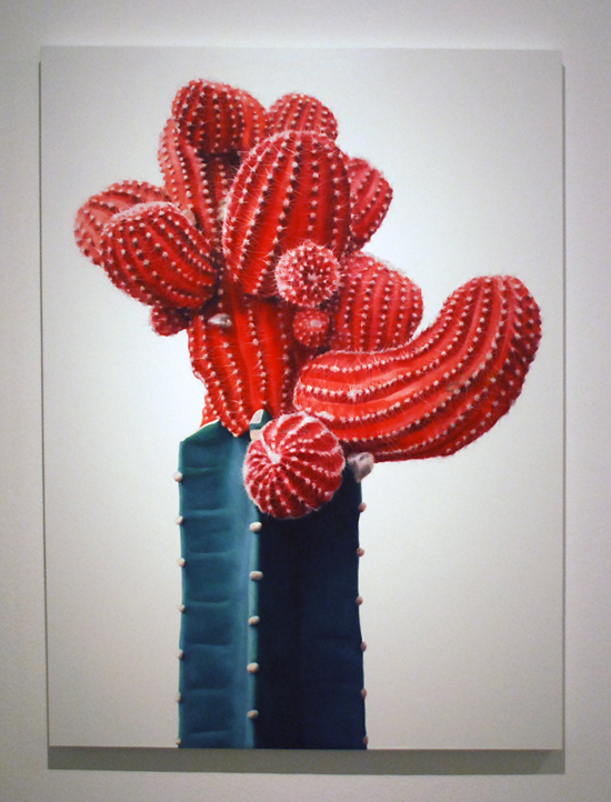 kwangho-lee_cactus_7.jpg