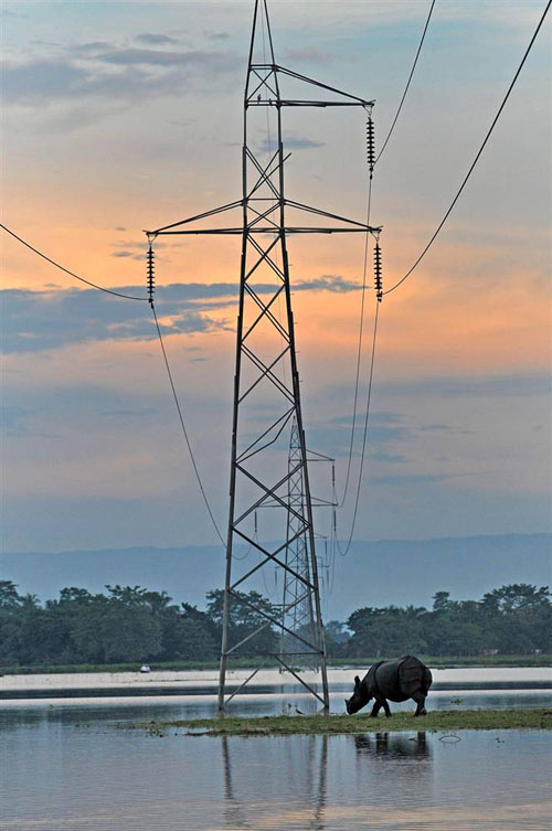 ss-100913-AT-09_ss_full.jpg