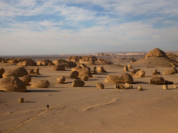 wadi-hitan-barnes_26755_990x742.jpg