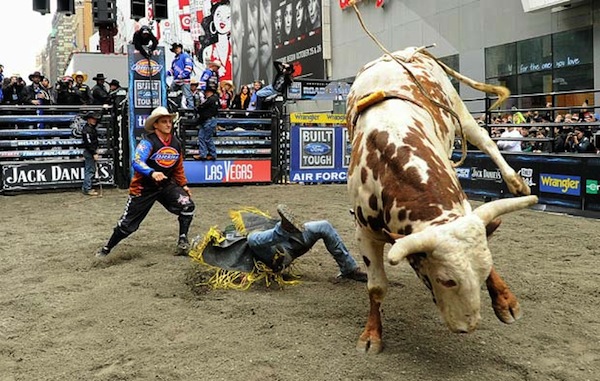 rodeo-5_1741430i.jpg