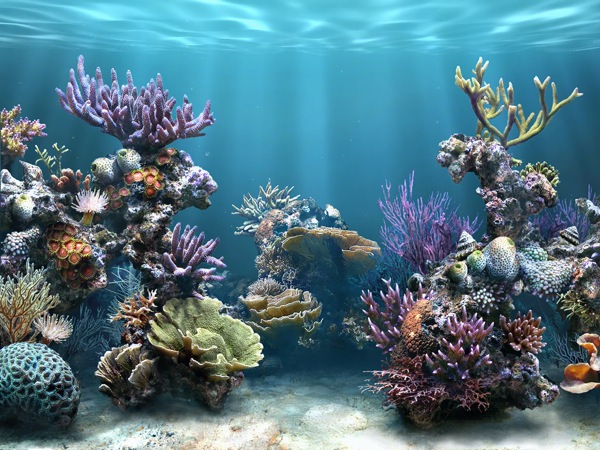 Aquarium