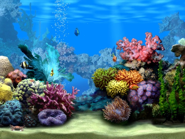 Aquarium4.jpg