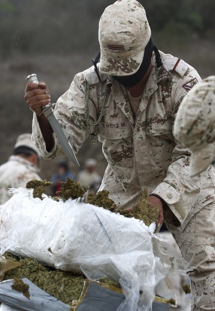 drugs_marijuana_mexico12.jpg