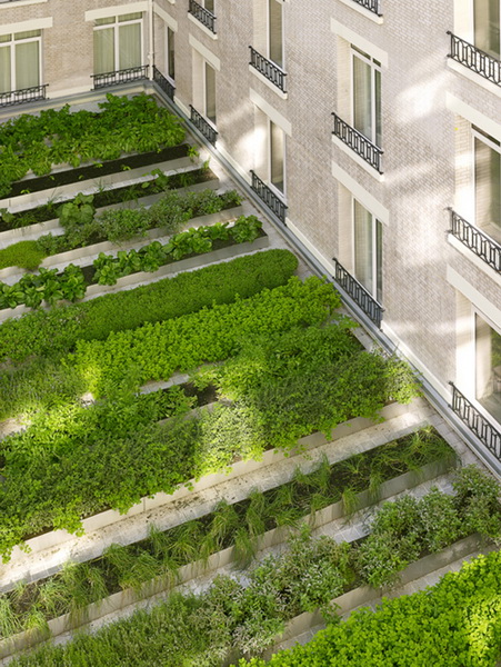 le-royal-monceau-by-philippe-starck-22.jpg