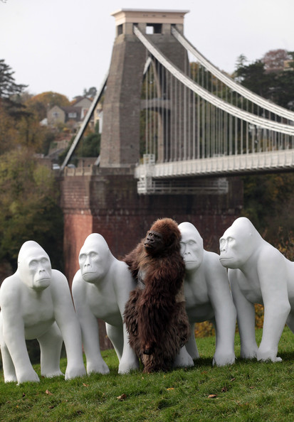 Gorilla+Sculptures+Take+Streets+Bristol+DLP33OTrraxl.jpg