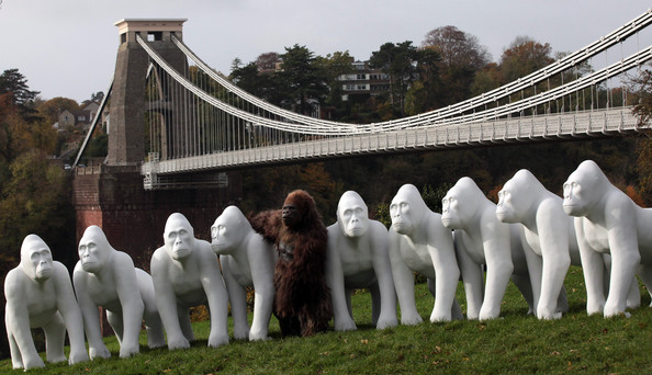 Gorilla+Sculptures+Take+Streets+Bristol+DZ09hwuOK6Zl.jpg