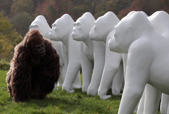 Gorilla+Sculptures+Take+Streets+Bristol+MX6PYZRF4Oql.jpg