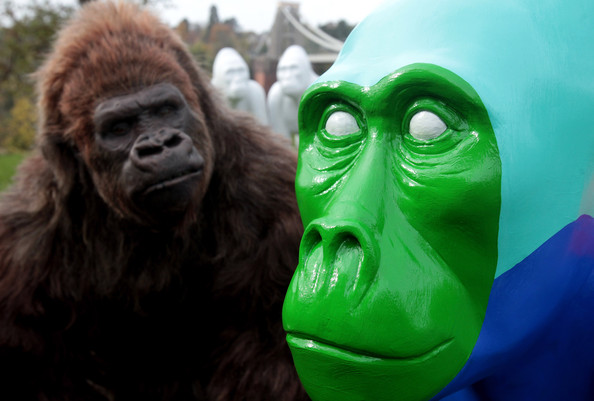 Gorilla+Sculptures+Take+Streets+Bristol+by_XLrhs2Vcl.jpg