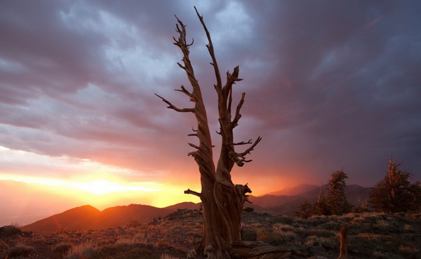 timescapes-tom_lowe-01-944x638_.jpg