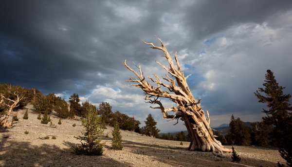 timescapes-tom_lowe-01-944x639_.jpg