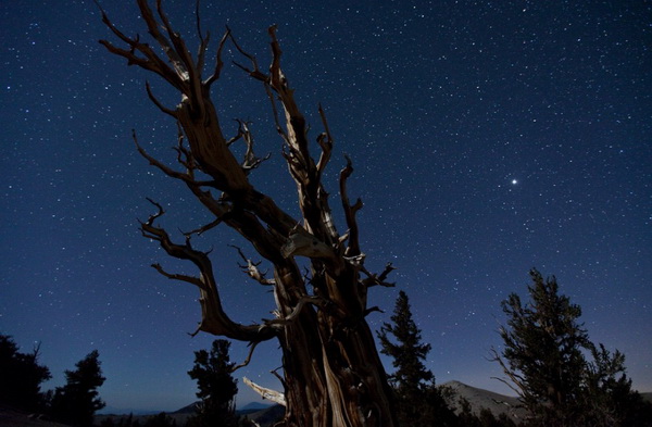 timescapes-tom_lowe-01-944x642_.jpg