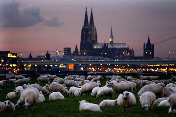 Frau treffen koln Fetisch Koln Webcam Nudes Meiersmühlen Dicke Frauen Treffen Frankfurt Unterkunft Gunstig