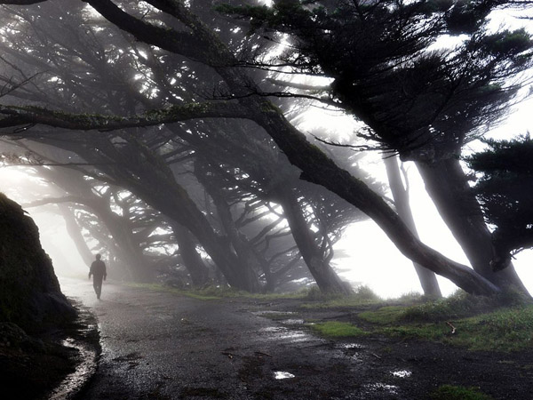 point-reyes-california_29419_990x742.jpg