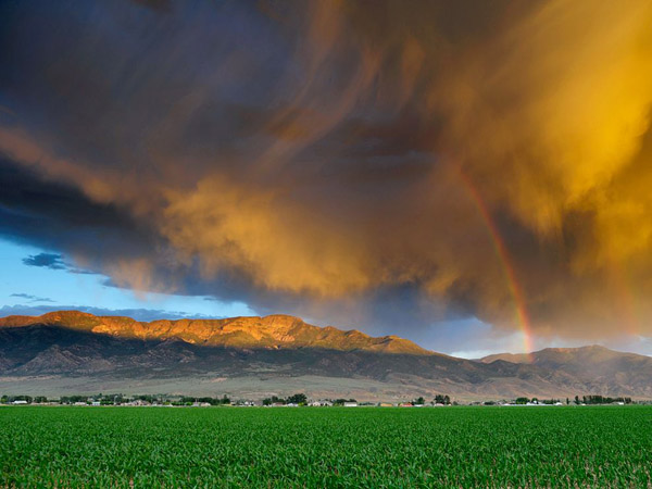 storm-clouds-utah-cornfield_29426_990x742.jpg