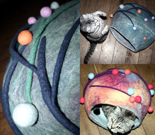 house_cat.jpg
