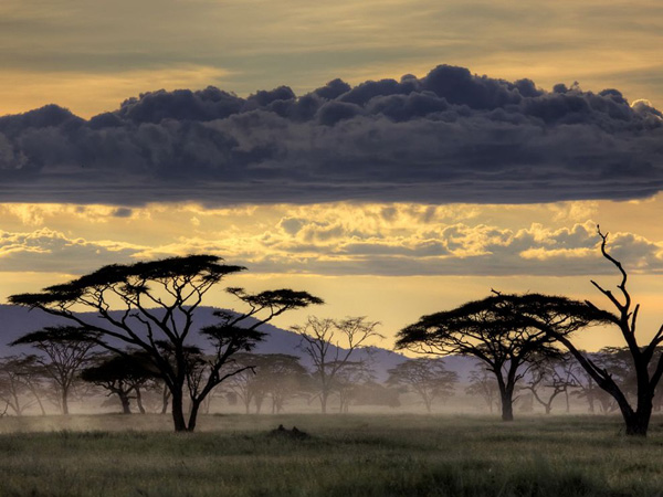 serengeti-sunset-tanzania_29424_990x742.jpg