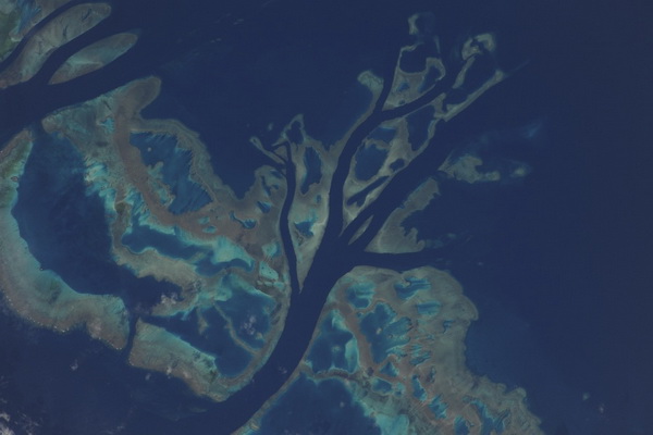 5196843603_822b7e3510.jpg