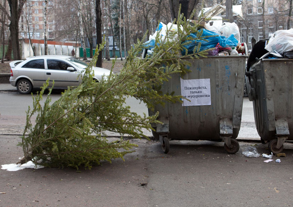 пожалуйста только не мусоровозка.jpg