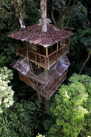 finca-bellavista-14.jpg