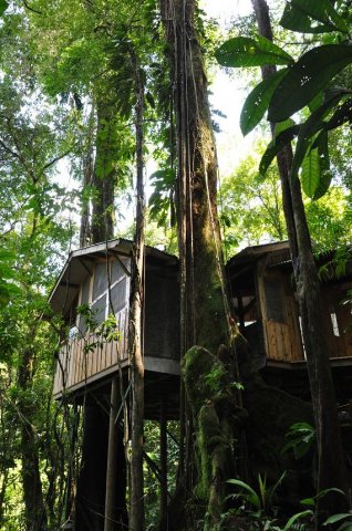 finca-bellavista-7.jpg