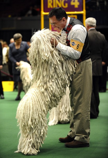 westminster_dog_kennel_show_32.jpg