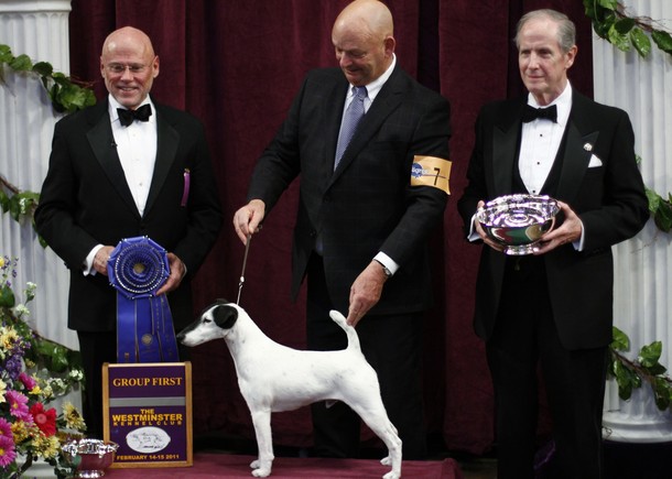 westminster_dog_kennel_show_35.jpg