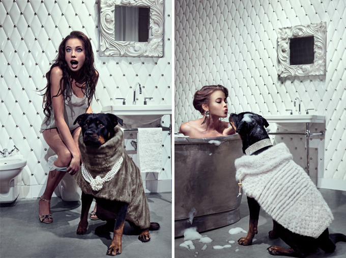 Реклама меховой одежды для собак Chien Bizarre