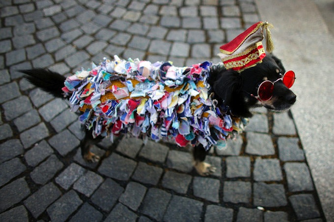 carnival_cologne.jpg