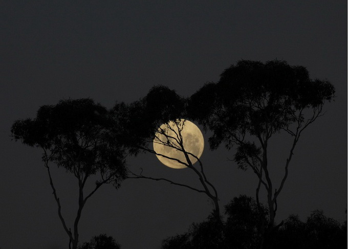 supermoon2_.jpg