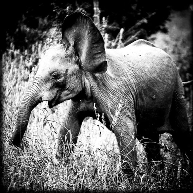 LaurentBaheux01_2.jpg