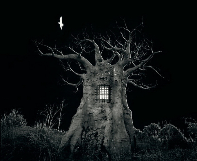 JerryUelsmann23.jpg