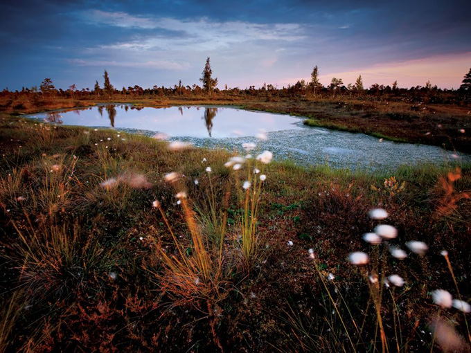 kemeri-national-park-latvia_33988_990x742.jpg