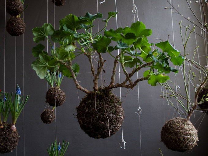 string-gardens-4_.jpg