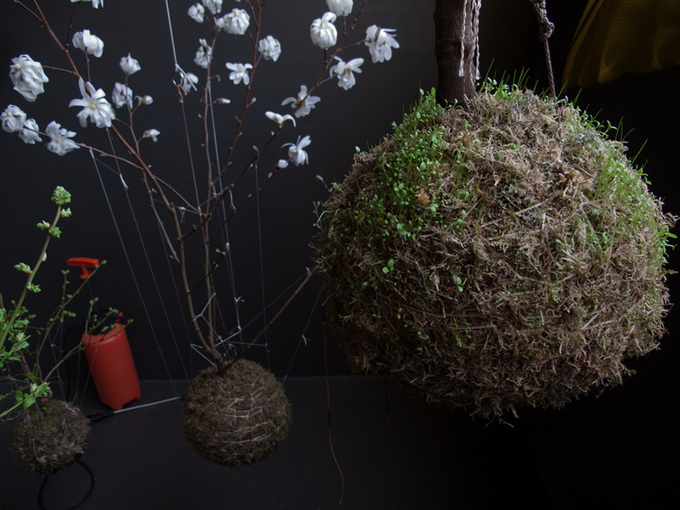 string-gardens-7_.jpg