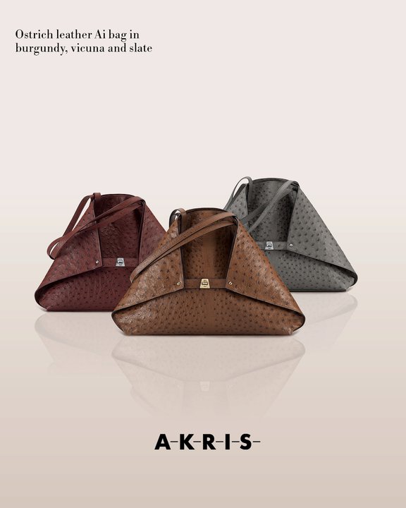 akrisaw11handbagscollection1.jpg