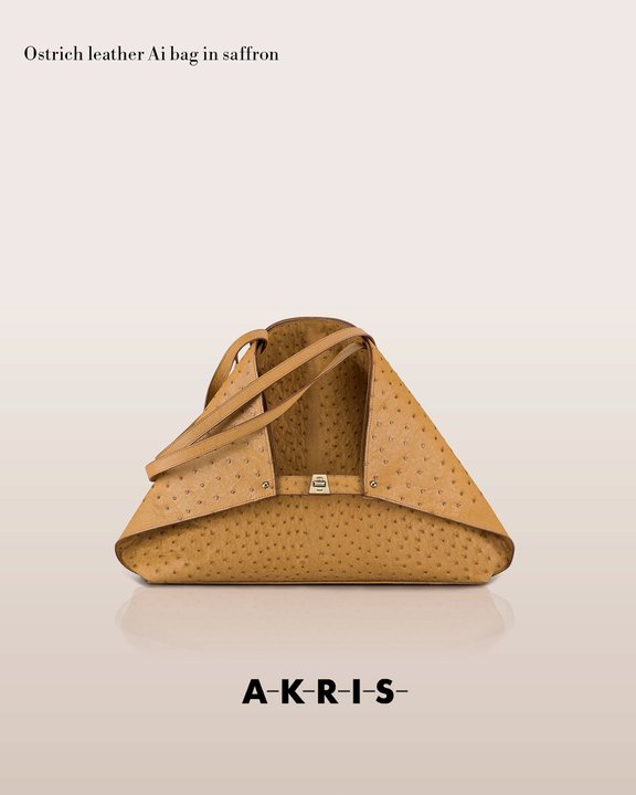 akrisaw11handbagscollection2.jpg