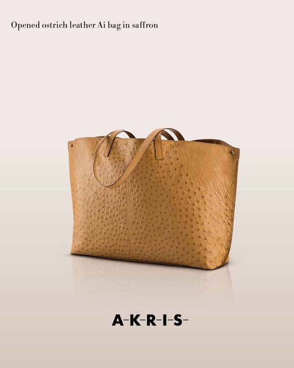 akrisaw11handbagscollection3.jpg