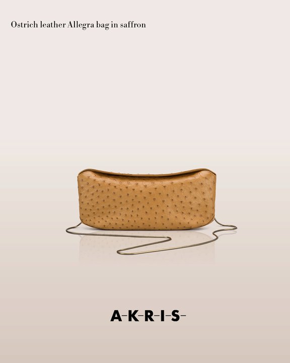 akrisaw11handbagscollection30.jpg