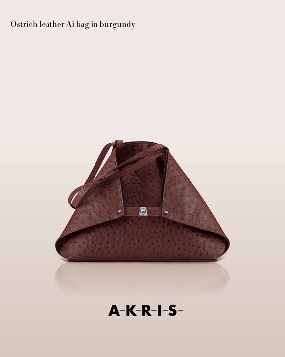 akrisaw11handbagscollection4.jpg