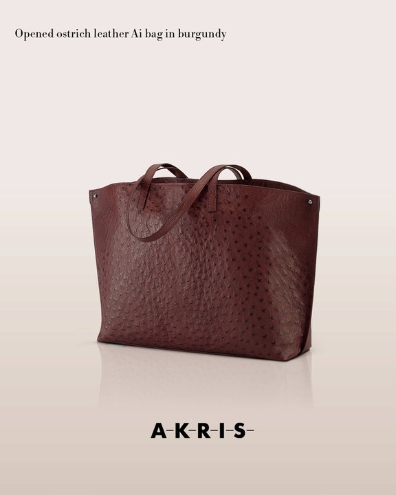 akrisaw11handbagscollection5.jpg