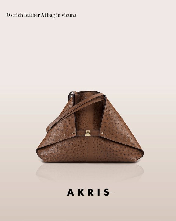 akrisaw11handbagscollection6.jpg