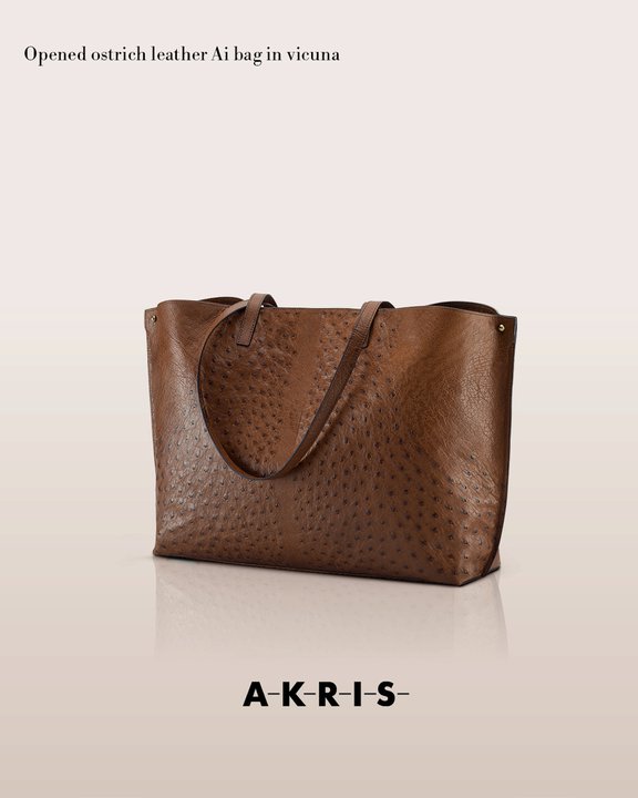 akrisaw11handbagscollection7.jpg