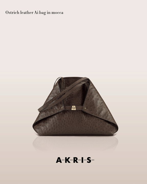 akrisaw11handbagscollection8.jpg