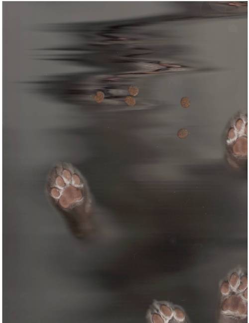 tumblr_lph3lq10pP1qesb9wo1_500.jpg