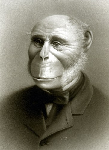 837896993_fc07a90005.jpg