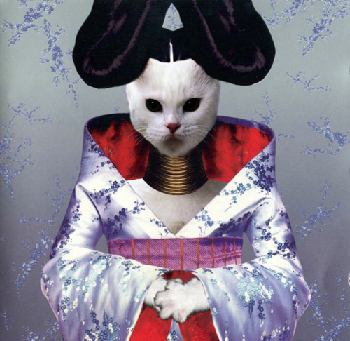 KittenCovers02.jpg