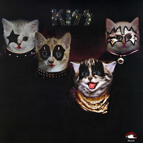 KittenCovers04.jpg