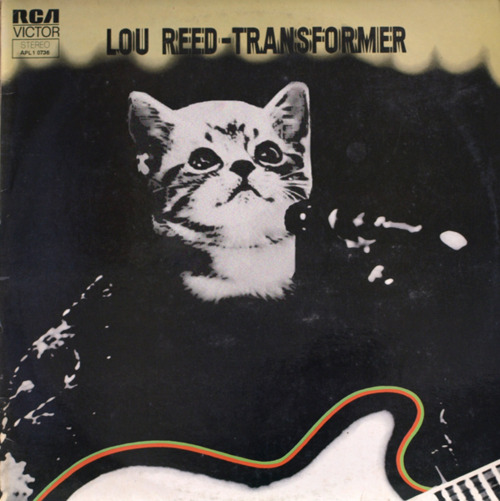 KittenCovers08.jpg
